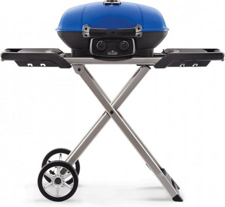 Napoleon Propane Gas Grill, Blue