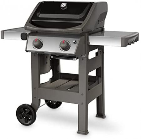 2-Burner Liquid Propane Grill - Black