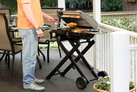 Roll-Away Gas Grill